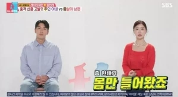 레이디제인북 이미지
