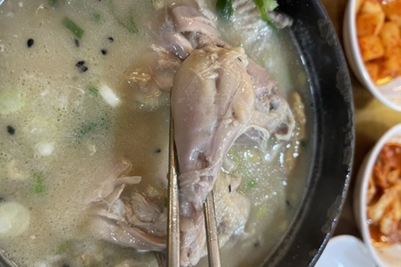 유명 식당, 삼계탕에 닭똥 넣어 손님 제공 논란